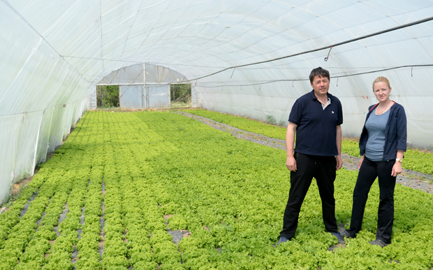 Држава исплатила 410 милиона повртларским газдинствима, ускоро помоћ сточарима и пчеларима: Паре на рачуну и без пријаве